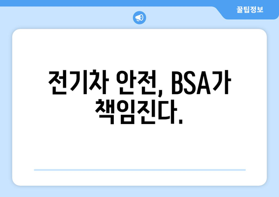 전기차 안전, BSA가 책임진다.