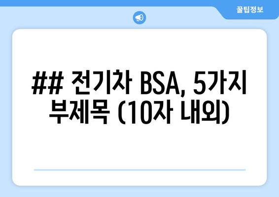 전기차 BSA, 5가지 부제목 (10자 내외)