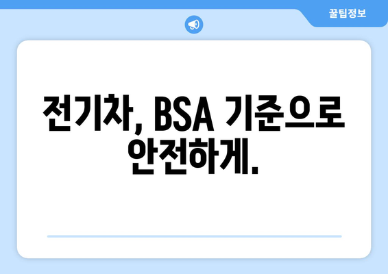 전기차, BSA 기준으로 안전하게.