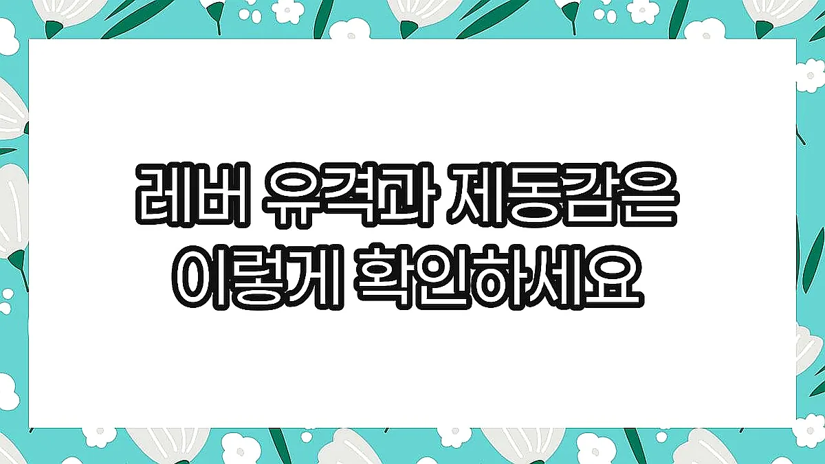 글의 레버 유격과 제동감은 이렇게 확인하세요 이미지 글의 레버 유격과 제동감은 이렇게 확인하세요 이미지