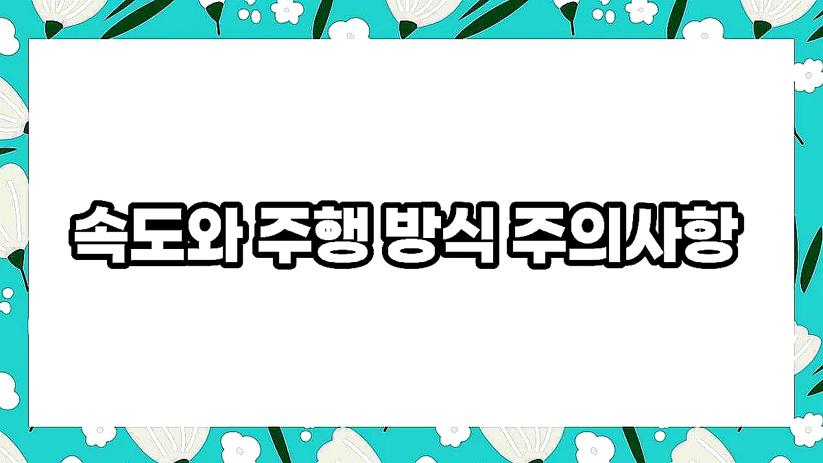 글의 속도와 주행 방식 주의사항 이미지 글의 속도와 주행 방식 주의사항 이미지