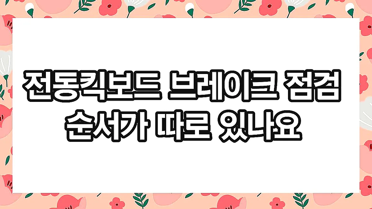 글의 전동킥보드 브레이크 점검 순서가 따로 있나요 이미지 글의 전동킥보드 브레이크 점검 순서가 따로 있나요 이미지