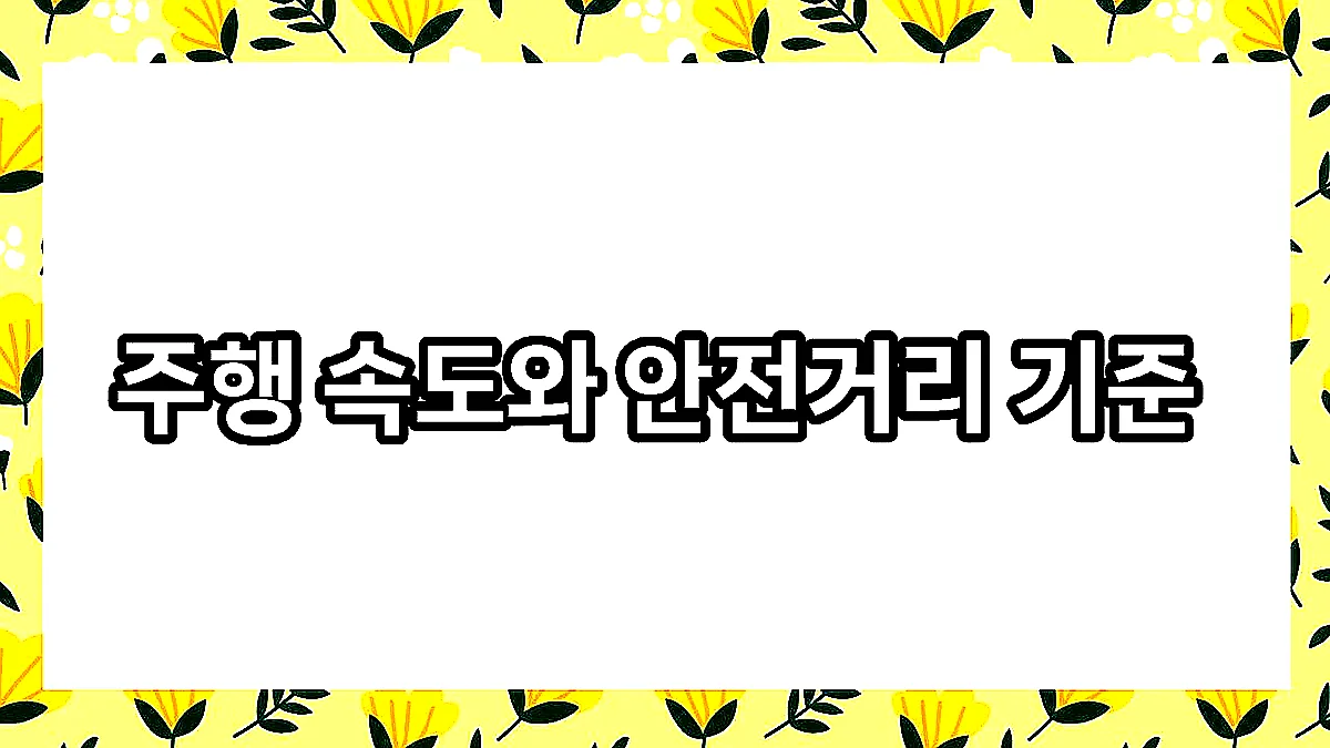글의 주행 속도와 안전거리 기준 이미지 글의 주행 속도와 안전거리 기준 이미지