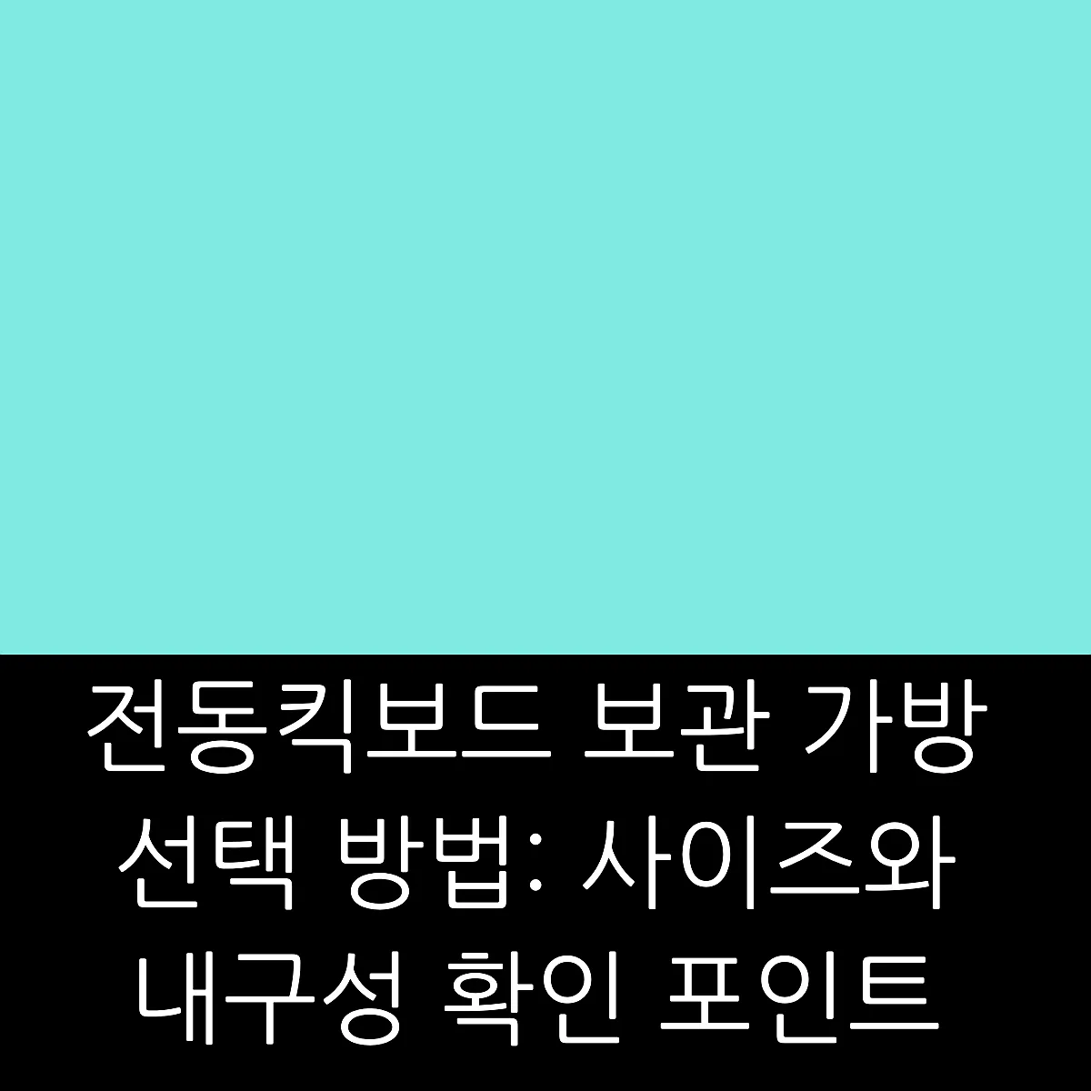 전동킥보드 보관 가방 선택 방법: 사이즈와 내구성 확인 포인트 썸네일 전동킥보드 보관 가방 선택 방법: 사이즈와 내구성 확인 포인트 썸네일