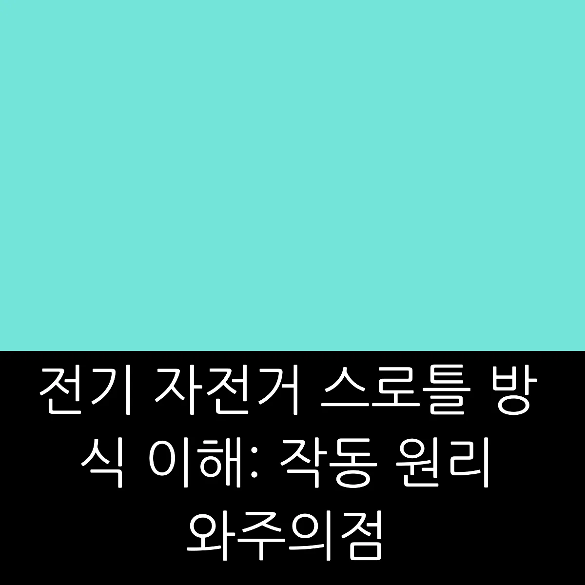 전기 자전거 스로틀 방식 이해: 작동 원리와 주의점 썸네일